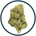 Fleurs de cbd